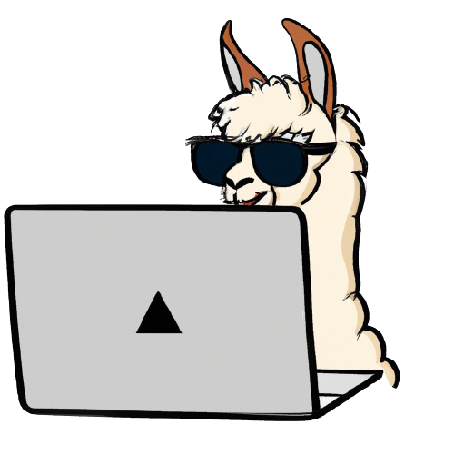 Llama on a computer